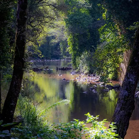 Selice 9 * Casaletto Spartano