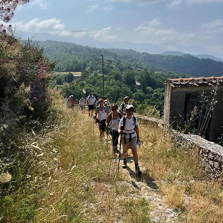 Selice 9 Bed & Breakfast Casaletto Spartano